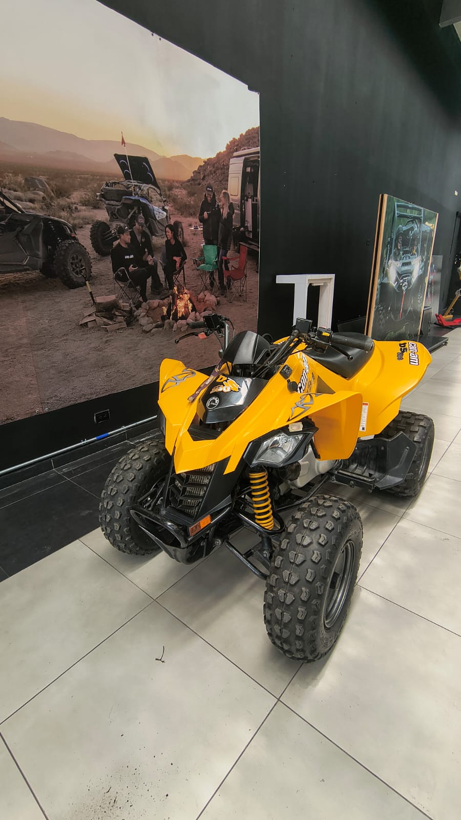 canam ds250 2014