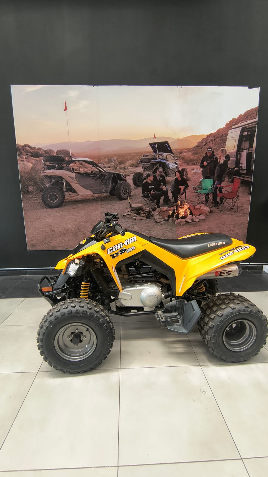 canam ds250 2014
