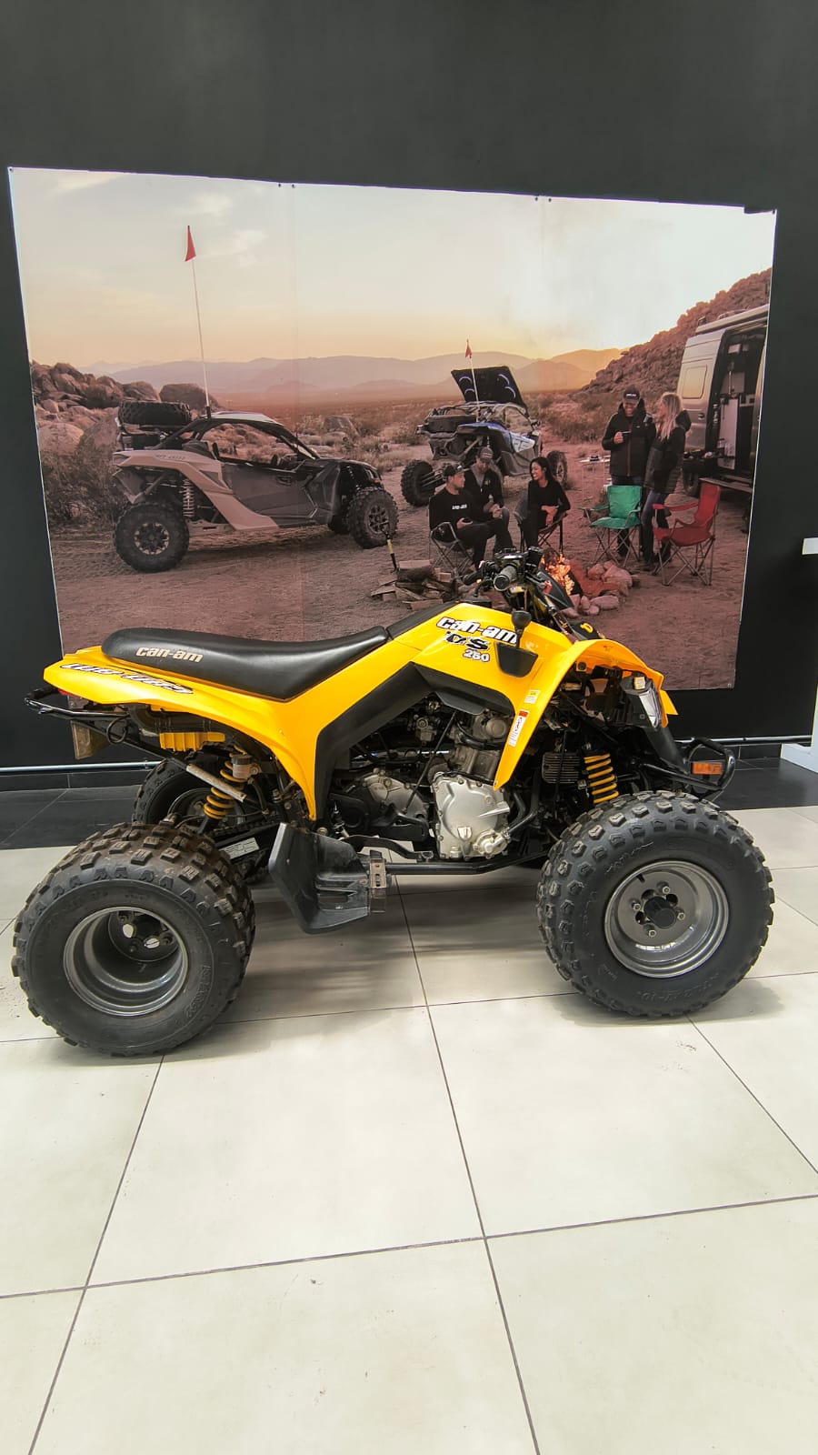 canam ds250 2014