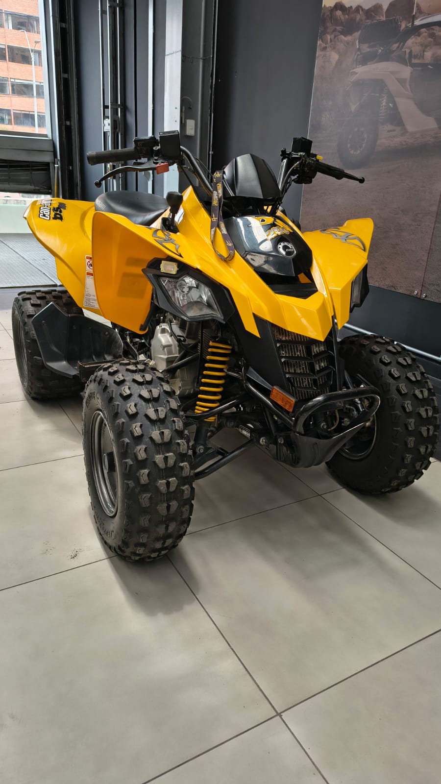 canam ds250 2014