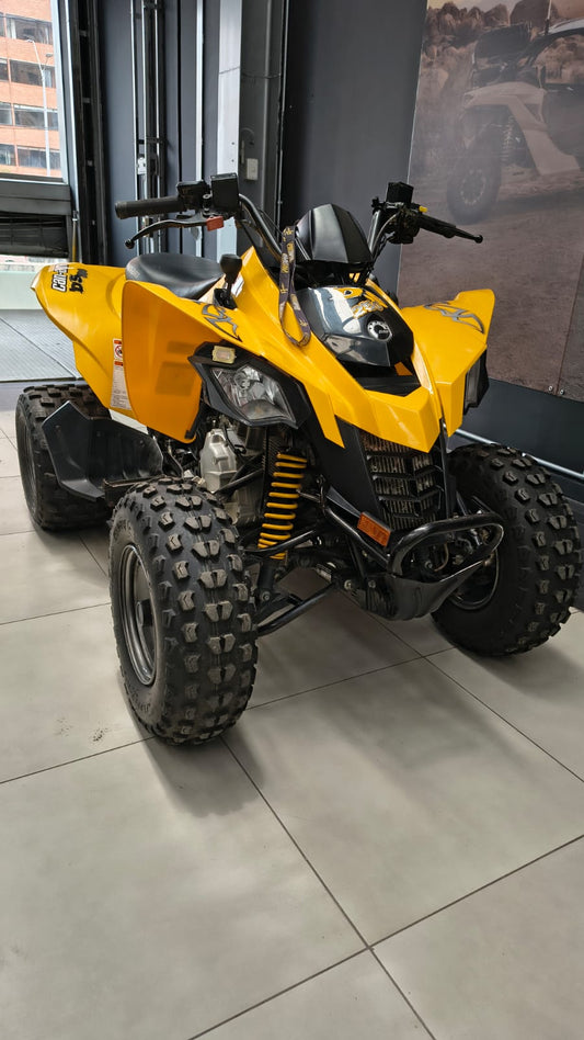 canam ds250 2014